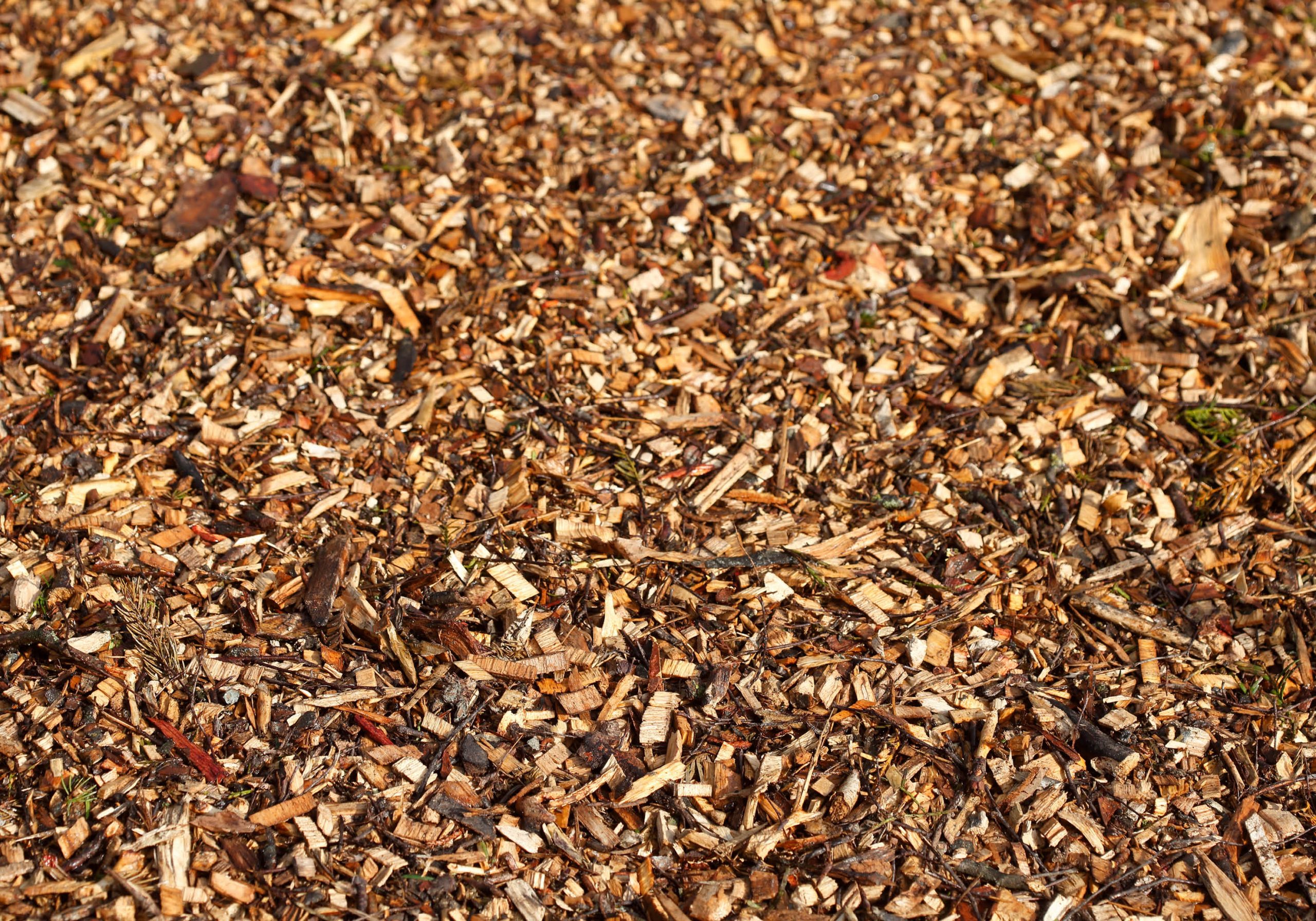 Stockbild Hackschnitzel