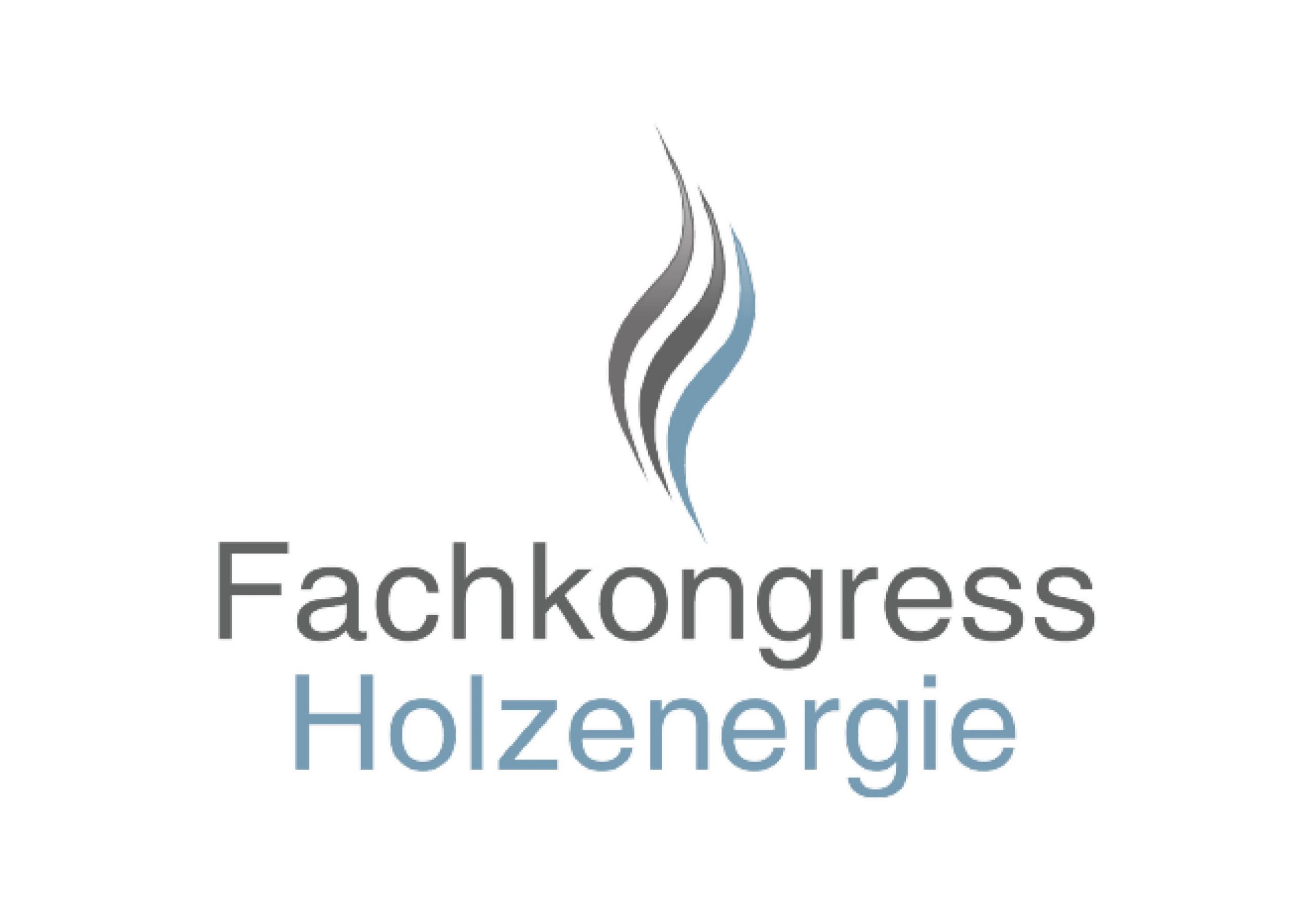 Logo Fachkongress Holzenergie