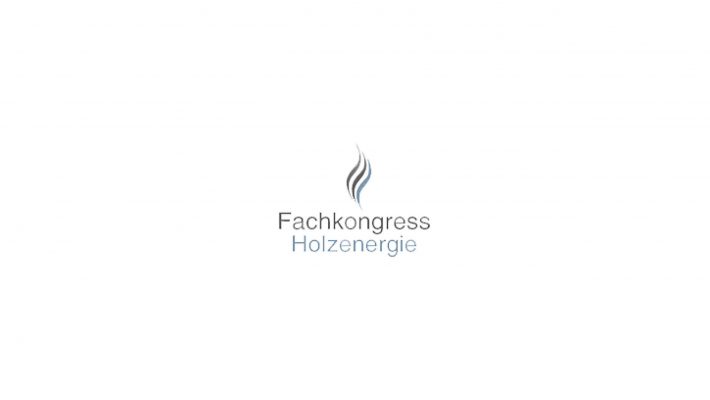 Logo Fachkongress Holzenergie