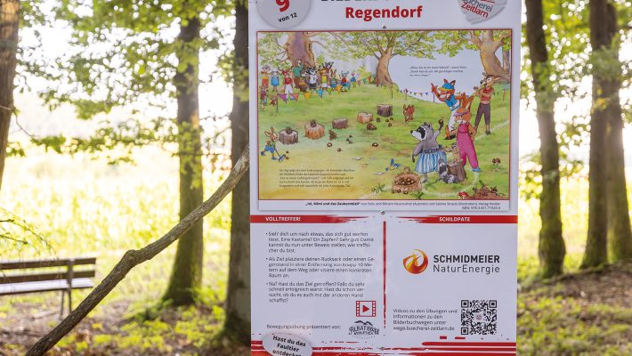 Station Nummer 9 des Bilderbuchwegs in Regendorf von der Schmidmeier NaturEnergie