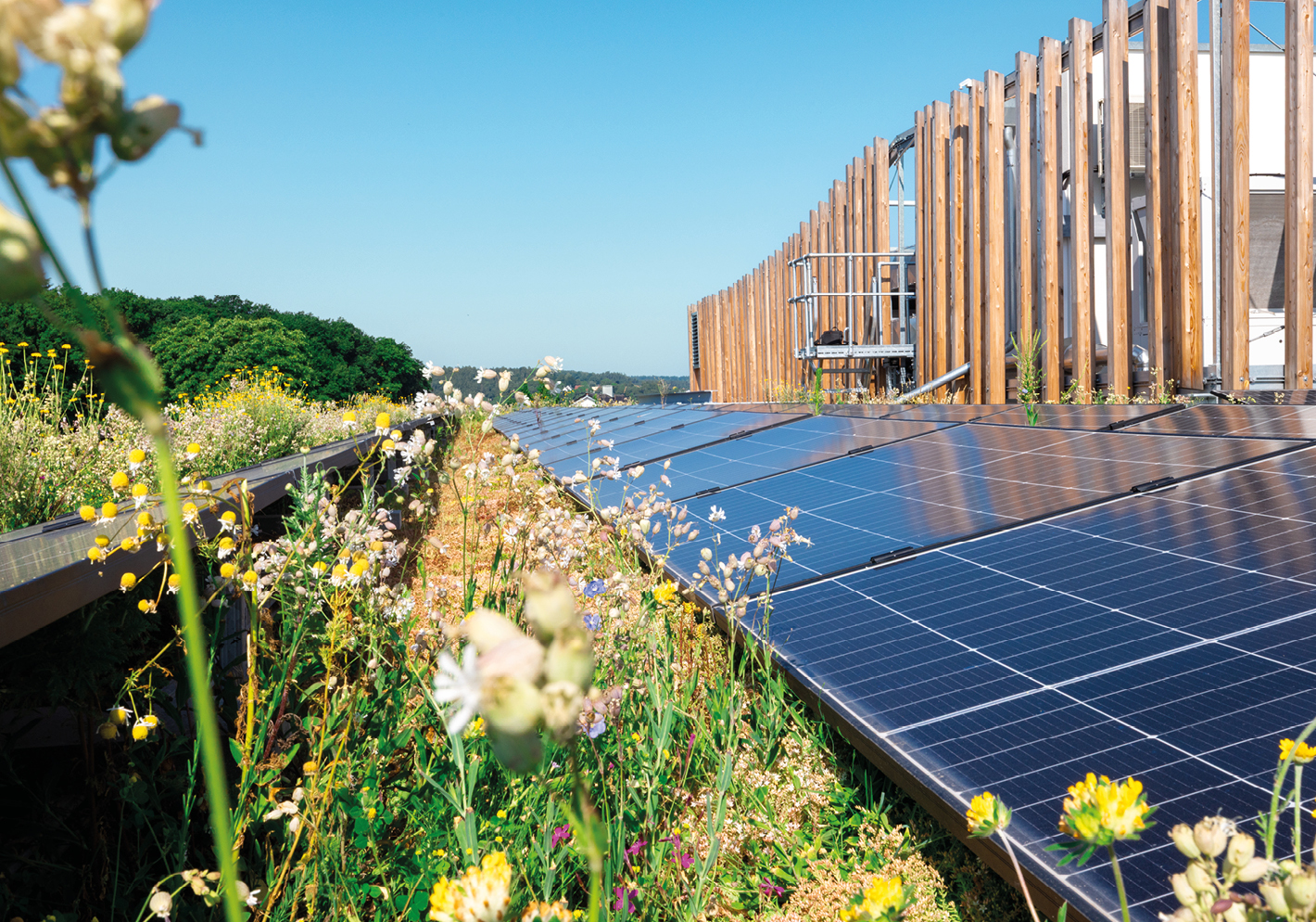Solaranlage des modernen und grünen Bürogebäude von Schmidmeier NaturEnergie