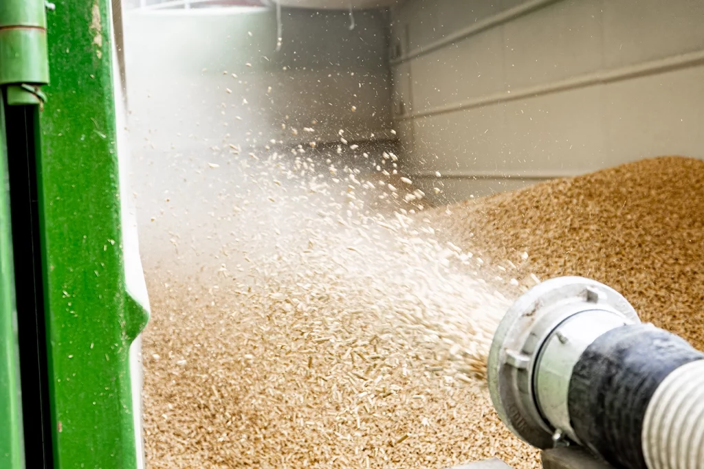 Holzhackschnitzel werden durch einen Schlauch in einen Anhänger geschossen.