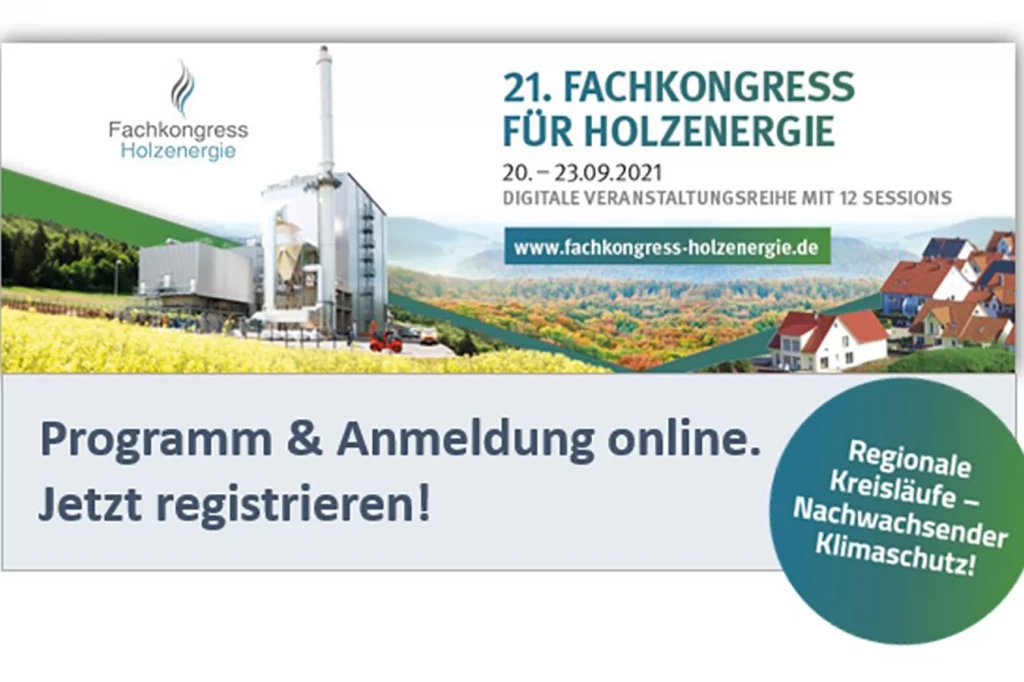 Flyer mit Informationen zum Fachkongress Holzenergie 2021
