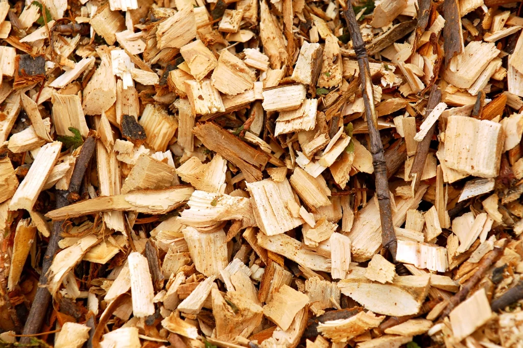 Bild von Hackschnitzeln als Symbol für die Wichtigkeit von Holzenergie für die Energiewende