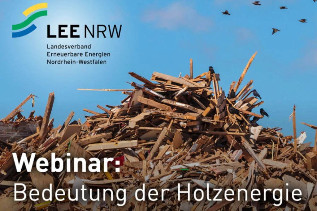 Flyer für das Webinar des LEE NRW über die Bedeutung der Holzenergie