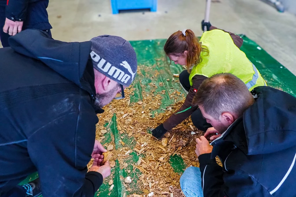 genaue Betrachtung der Altholzqualität durch die Teilnehmer