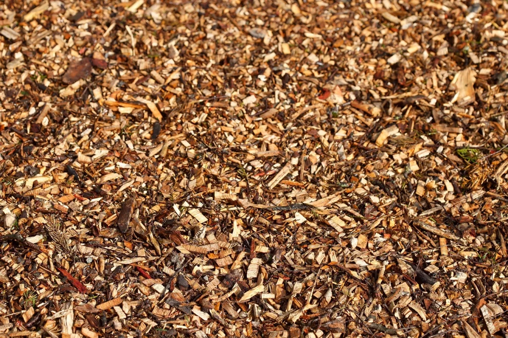 Bild von Holzhackschnitzeln