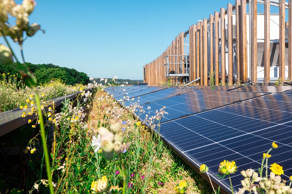 Zwischen einer PV-Anlage wachsen Blumen und Gestrüpp. Die PV-Anlage befindet sich auf dem Dach des Verwaltungsgebäude der Schmidmeier NaturEnergie. Neben der PV-Anlage ist eine Art Sockel zu erkennen, mit Holzbalken die als Außenfassade dienen.