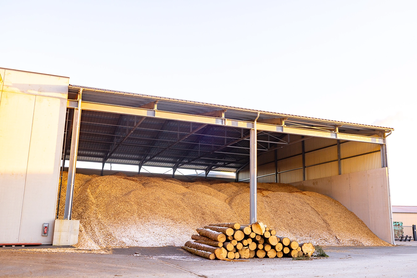 Brennstoffhalle einer Biomasseanlage. In einer offenen Halle liegt ein riesiger Haufen Hackschnitzel. Davor liegt ein kleiner Stapel von gesägten Baumen.