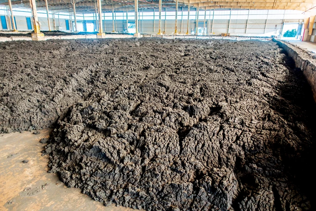 Einsatz von Biomasse zur Trocknung von Klärschlamm