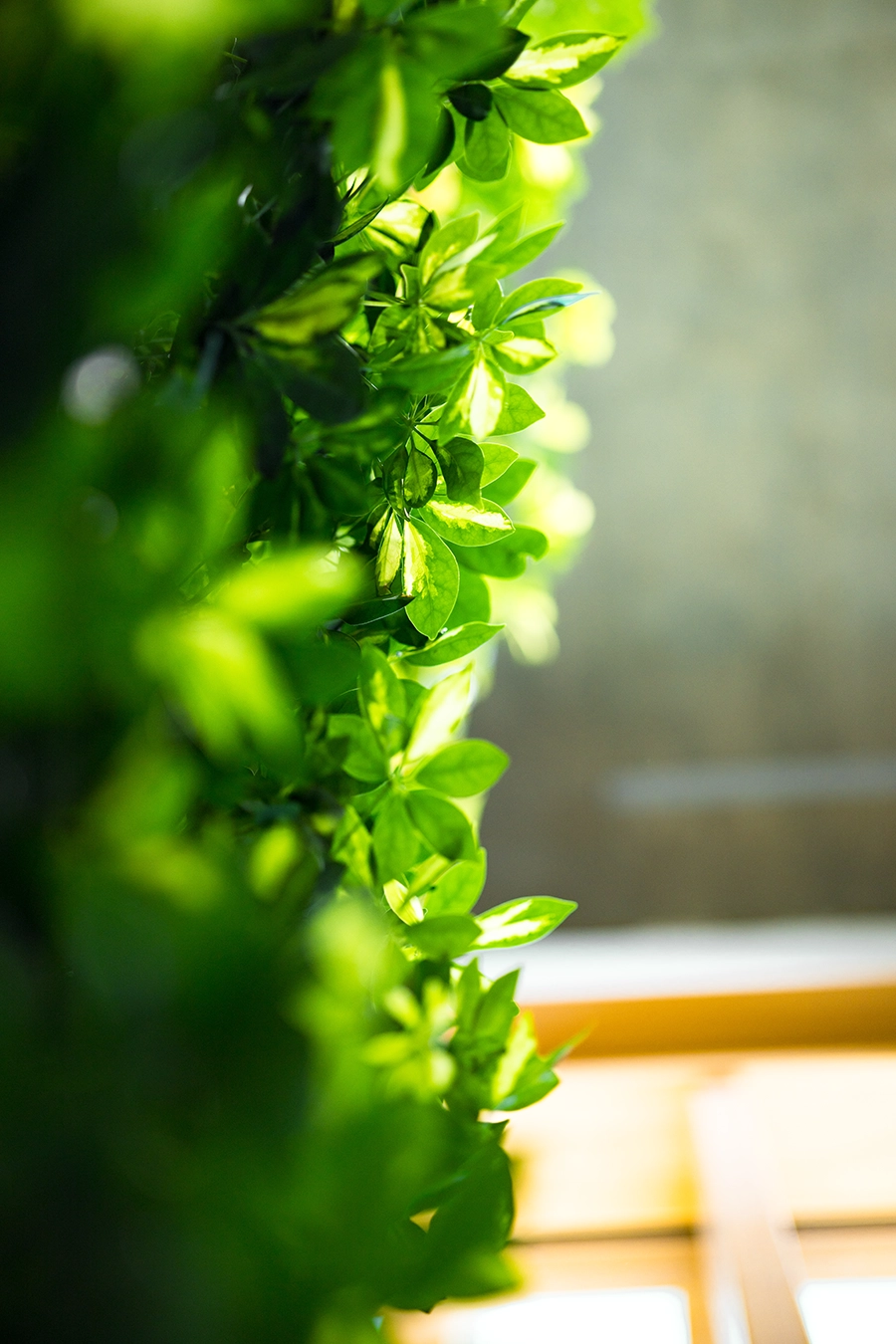 Die Pflanzenwand im Eingangsbereich verfügt über ein hochautomatisiertes Bewässerungssystem - auch mit Düngerzufuhr!