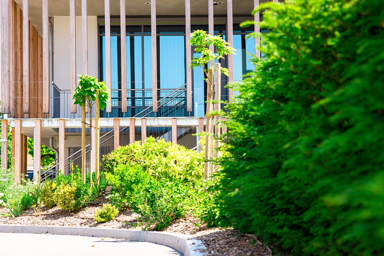 sattgrüne Bepflanzung vor dem Bürogebäude im Juni