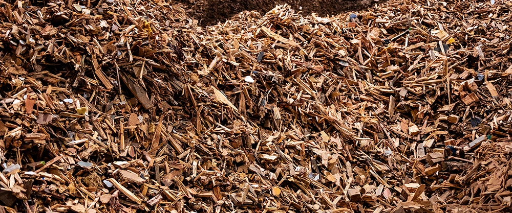 Ein Haufen aus Waldhackschnitzeln (Waldrestholz)