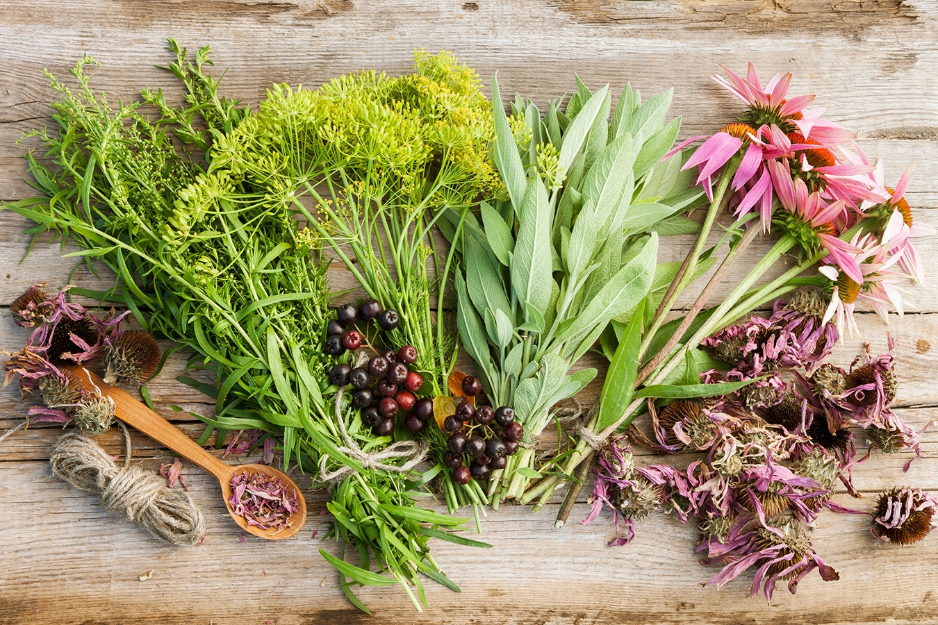 Frischer Kräuter, Pflanzen und Blumen auf einer Holzunterlage.