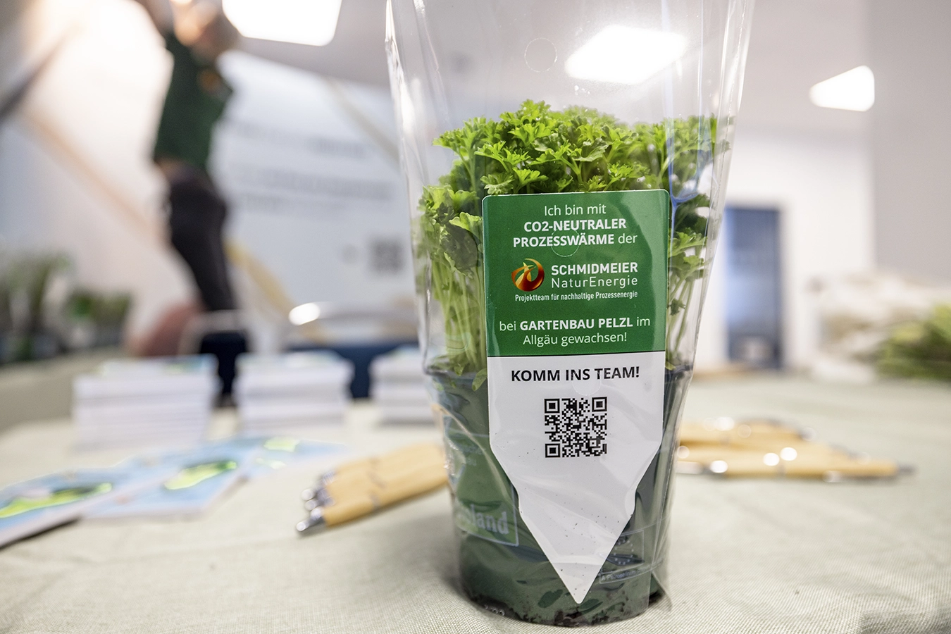 Pflanze mit Schmidmeier Logo