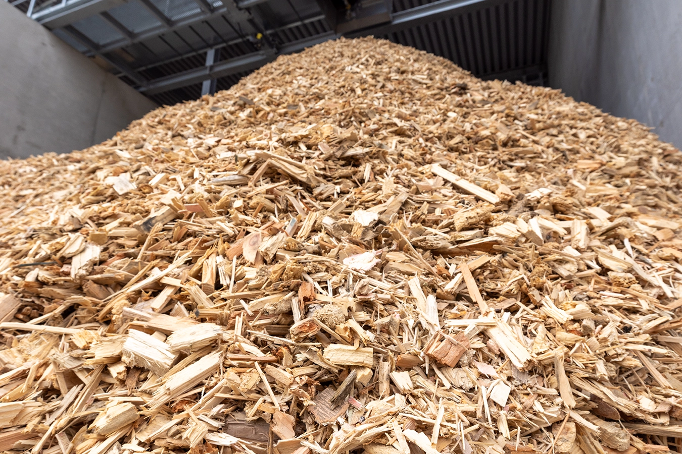 Waldrestholz im Brennstofflager der Anlage Weißenfels.