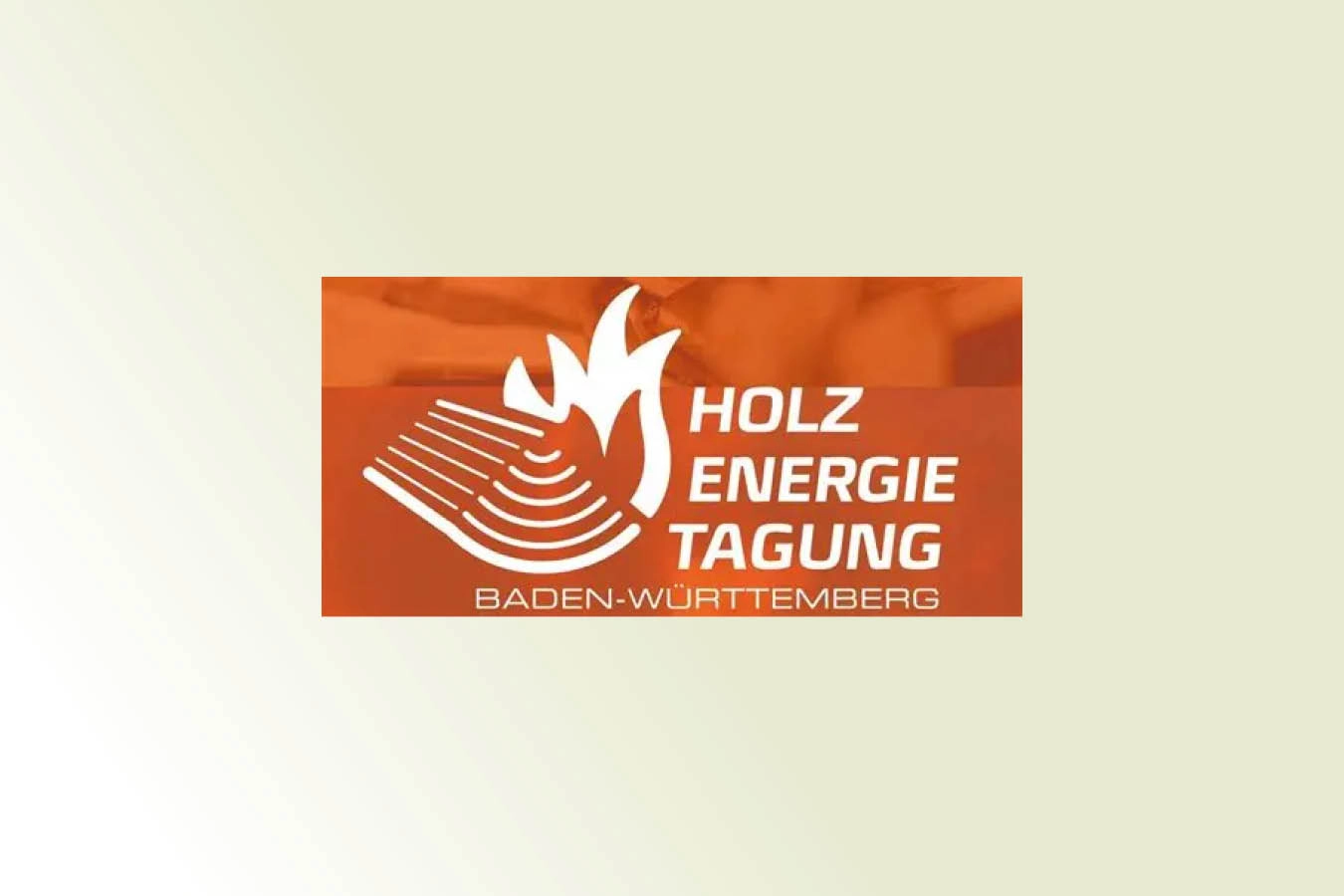 Logo der Holzenergietagung BaWü